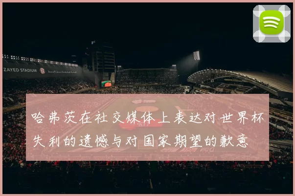 哈弗茨在社交媒体上表达对世界杯失利的遗憾与对国家期望的歉意